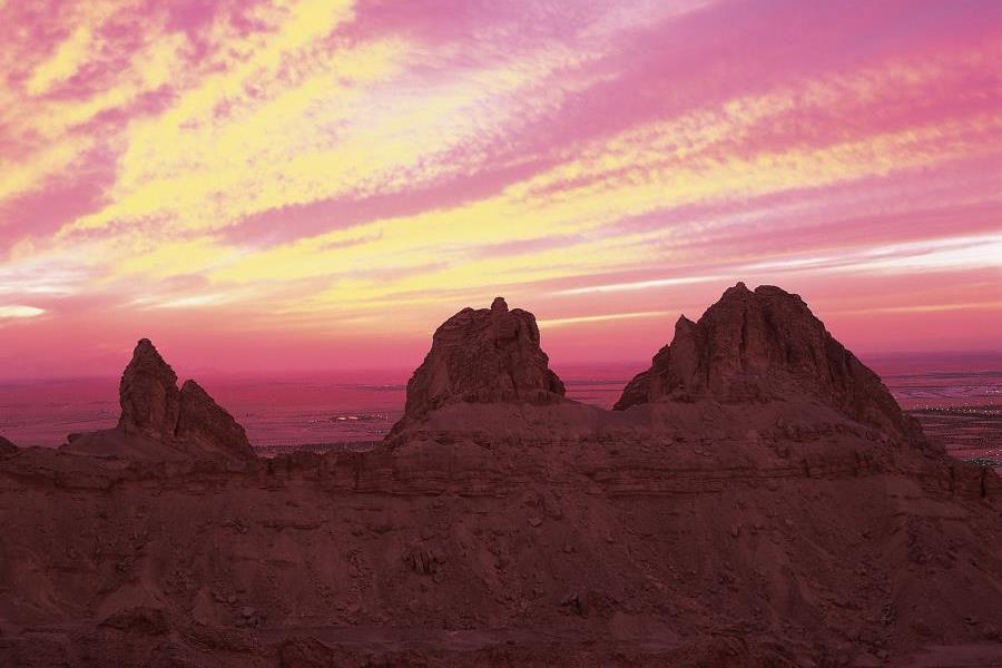 Al Ain oasis and city view